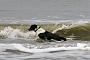 091 Texel